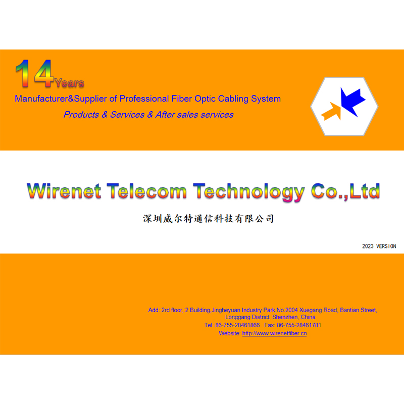 Wirent company profile.pdf